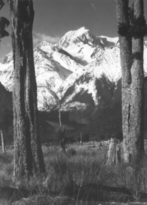 Early New Zealand Photography - Ralph Warburton