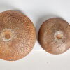 A Pair of Len Castle Crucible Bowls - 3