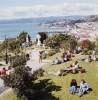 ANS WESTRA Wellington (Harbour View)