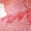 KAREN RUBADO - Red Tide 2019 - 2
