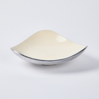 A Polished Aluminium Bowl With White Enamel Coating