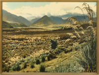 A Large Hand Coloured Photo Of New Zealand Scenery