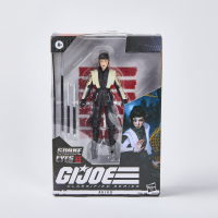 A Collectable Akiko GI Joe Figure