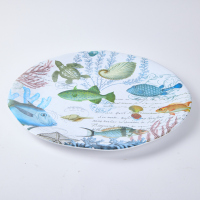 A Large Melamine Platter By Michel Design Works Italy