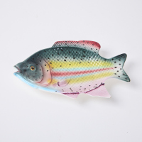 A Colourful Vintage Fish Plate