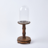 A Glass Display Dome & Wooden Stand