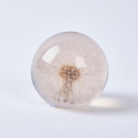 A Jasap Design NZ Made Dandelion Paperweight