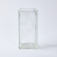 A Rectangular Glass Brick Vase