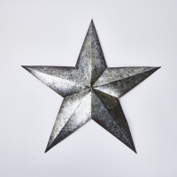 A Large Metal Star