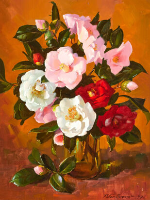 PETER BROWN Camellias