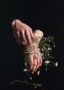 CLARK ROWORTH - Weeds #2