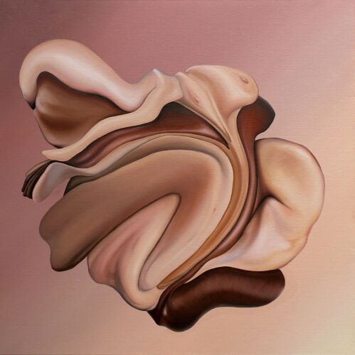 MEGAN ARCHER - Flesh Whipple
