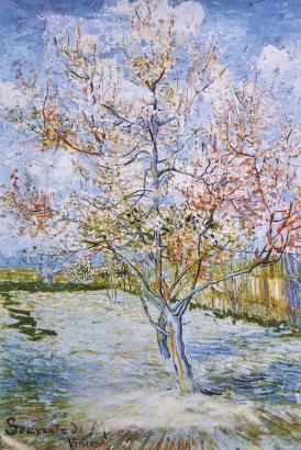 VAN GOGH Souvenir de Mauve Vincent