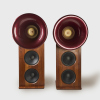 Oris BD150 Open Baffled Speakers