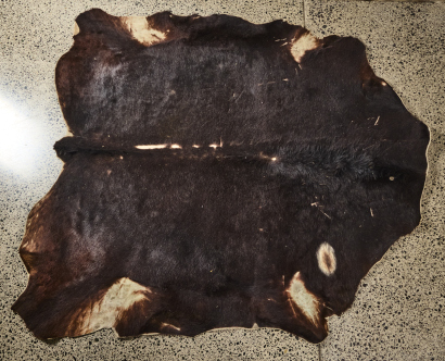 A Large Cowhide Rug