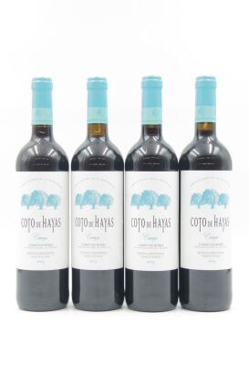 *(4) 2015 Bodegas Aragonesas Coto de Hayas Crianza, Campo de Borja