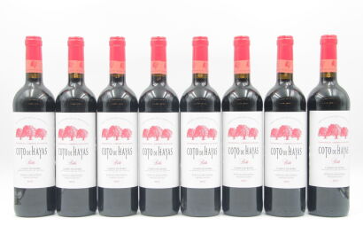 *(8) 2017 Bodegas Aragonesas Coto de Hayas Roble, Campo de Borja