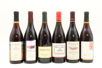 (1) 1990s New Zealand Pinot Noir Collection, 6 Bottles Sold as One Lot