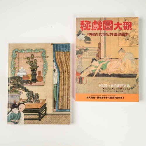 China Poly Hong Kong Spring Night Erotic Art special exhibition catalogue  'The Great View of Secret Plays old Chinese erotic picture book