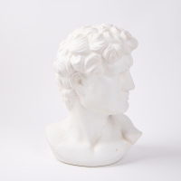 A Plaster Cast Bust