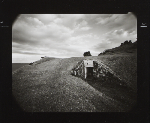 LAURENCE ABERHART untitled