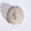 A Māhē Stone Sinker, Aotearoa - 3