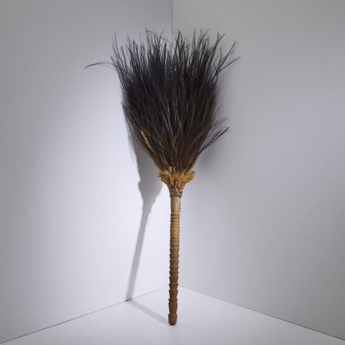 A Cassowary Feather Swat, Papua New Guinea