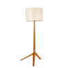 A Tribase Mid-century Floor Lamp