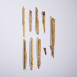 A Collection of Viking Bone Implements