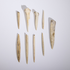 A Collection of Viking Bone Implements