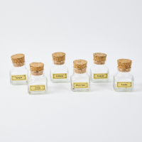 A Set Of Six Retro Spice Jars