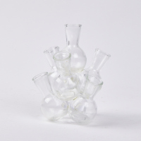 A Glass Seven Bud Propogation Vase