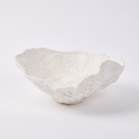 A Coral Inspired Decorative Bowl