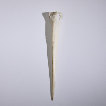 A Cassowary Bone Dagger, Papua New Guinea