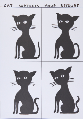 DAVID SHRIGLEY Cat Watches Your Seizure