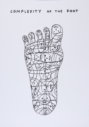 DAVID SHRIGLEY Complexity Of The Foot