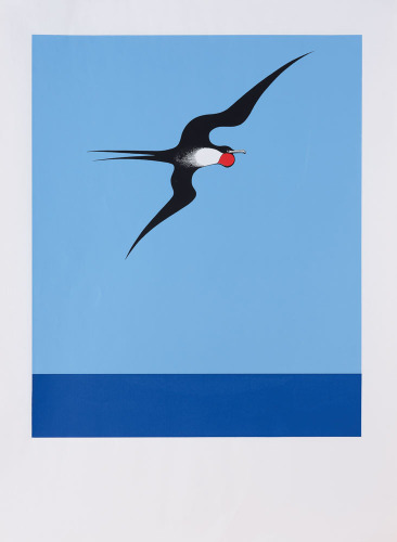 DON BINNEY Pacific Frigate Bird