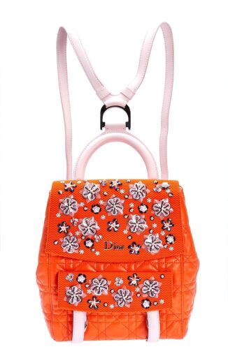 Dior Stardust Backpack