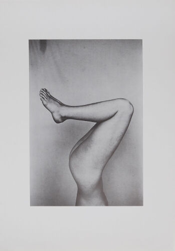 PETER PERYER Untitled (Legs)