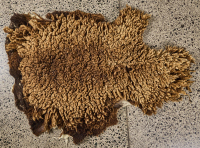 A Ram Skin Rug