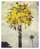 PAUL HARTIGAN Canary Canopy