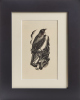 E. MERVYN TAYLOR Tui 1944 Woodcut