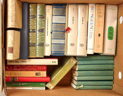 A Box of Italian Books