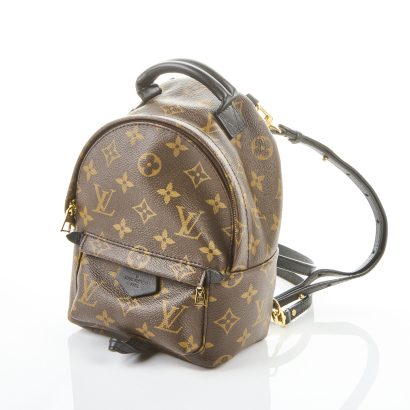 Louis Vuitton Palm Springs Mini Backpack