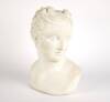 A Cast Plaster Classical Bust