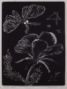 BETTY BEADLE Nectar Seeker