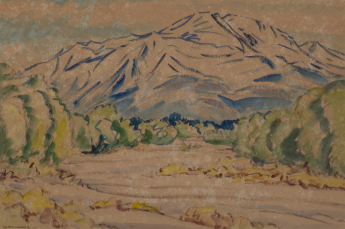 T. A MCCORMACK Mountain near Fairlie