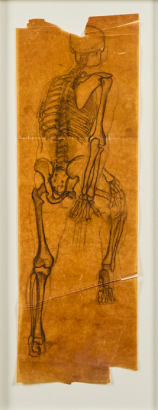 JOHN WEEKS untitled (Anatomical Sketch)