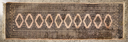 A Long Persian Style Runner