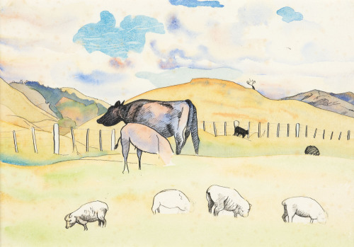 RITA ANGUS Study of Cows and Sheep